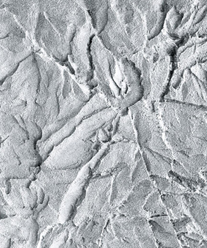 2025.4.14_16.0.31_6289