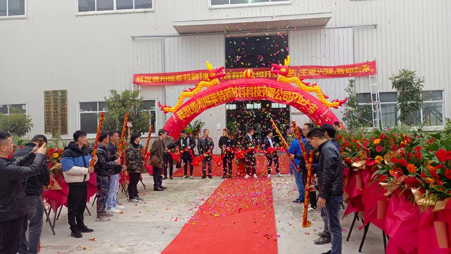 鸿运国际·(中国)首页入口-鸿运hv官网迎接您