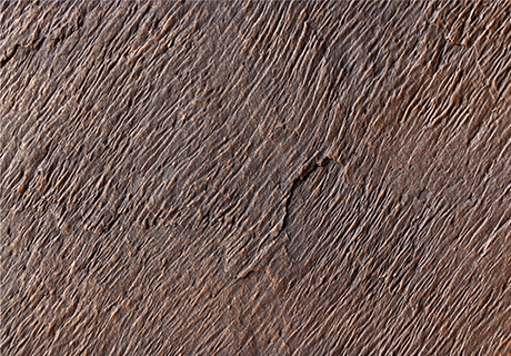 鸿运国际·(中国)首页入口-鸿运hv官网迎接您